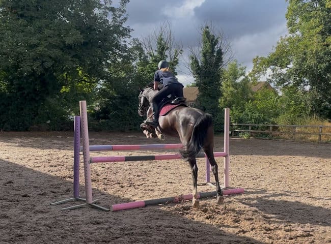 Joining Ex-Racehorse Communities